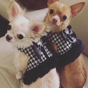 Meet your Posher, Mina